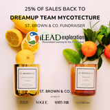 iLead Exploration DreamUp Fundraiser